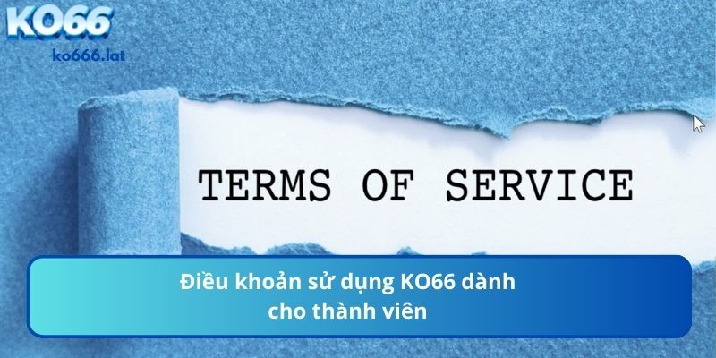 Người chơi cần nắm được các điều khoản tham gia nhà cái