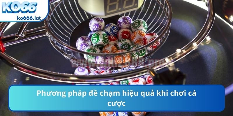 Phương pháp đề chạm hiệu quả khi chơi cá cược